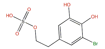 3-Bromo-4,5-dihydroxyphenylethanol sulfate